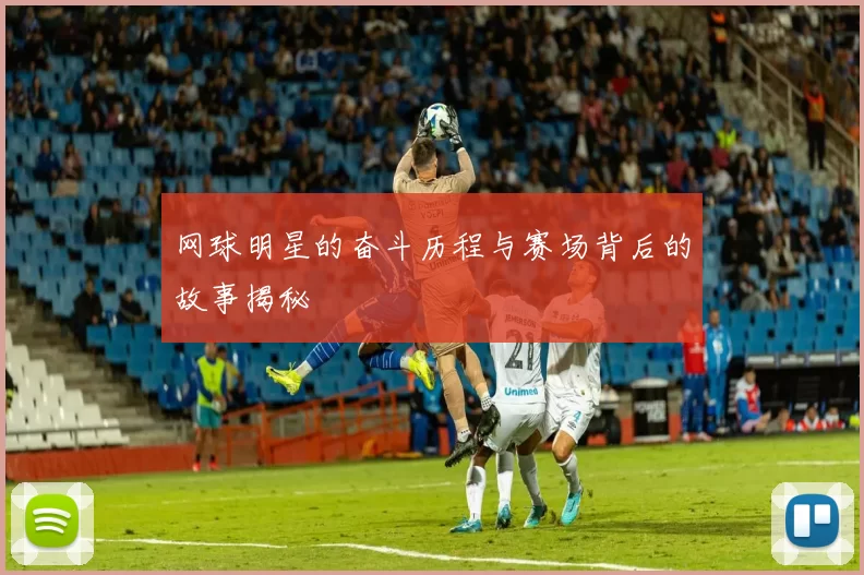 网球明星的奋斗历程与赛场背后的故事揭秘