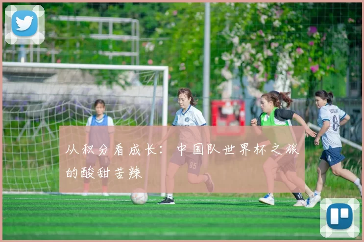 从积分看成长：中国队世界杯之旅的酸甜苦辣