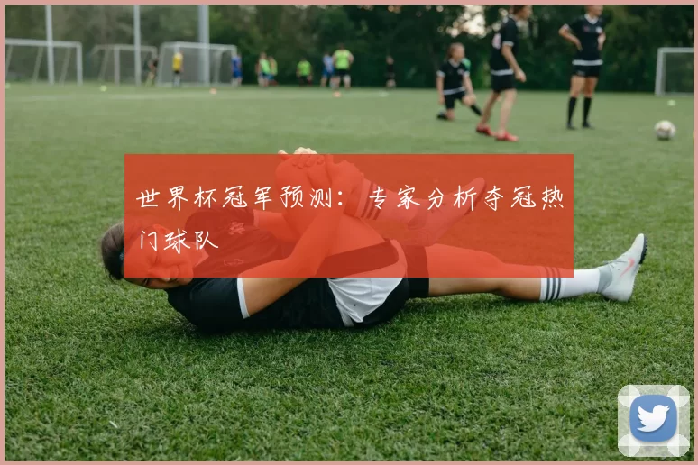 世界杯冠军预测：专家分析夺冠热门球队