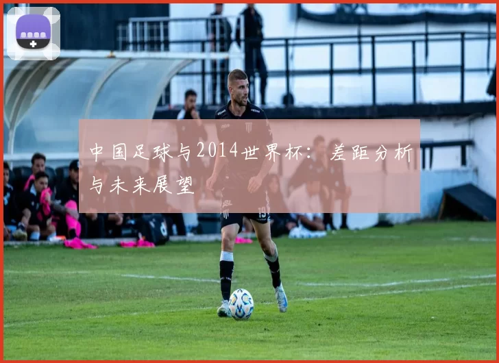 中国足球与2014世界杯：差距分析与未来展望