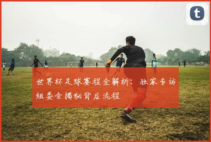 世界杯足球赛程全解析：独家专访组委会揭秘背后流程