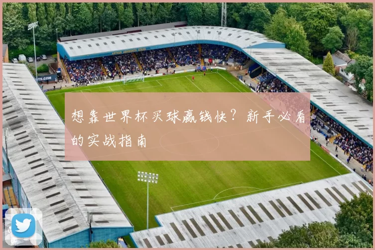 想靠世界杯买球赢钱快?新手必看的实战指南