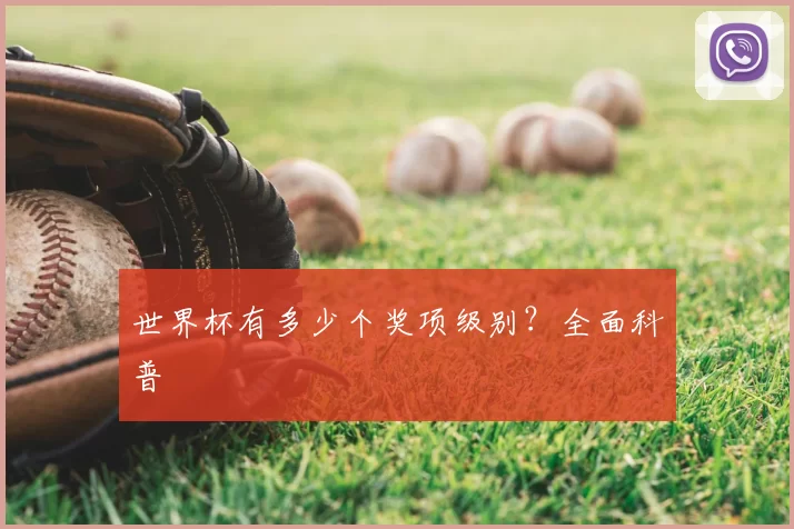 世界杯有多少个奖项级别？全面科普