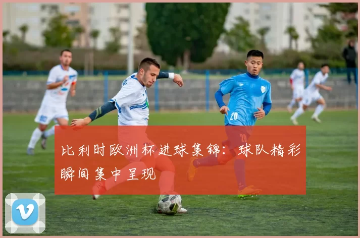 比利时欧洲杯进球集锦:球队精彩瞬间集中呈现