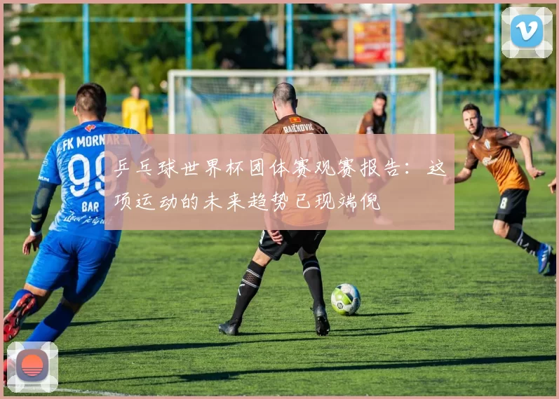 乒乓球世界杯团体赛观赛报告：这项运动的未来趋势已现端倪