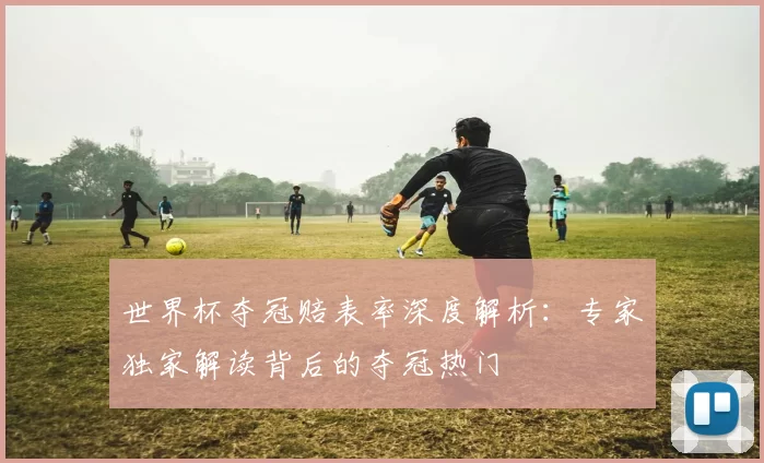 世界杯夺冠赔表率深度解析:专家独家解读背后的夺冠热门