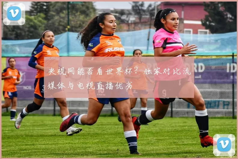 央视网能否看世界杯？独家对比流媒体与电视直播优劣