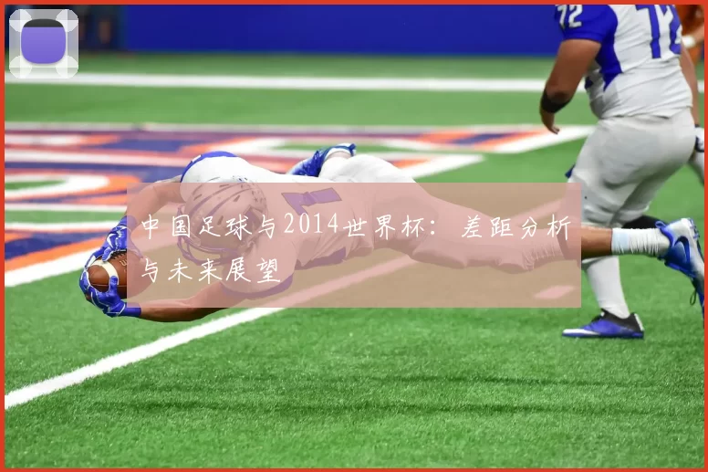 中国足球与2014世界杯：差距分析与未来展望