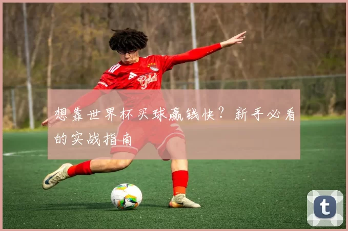 想靠世界杯买球赢钱快?新手必看的实战指南