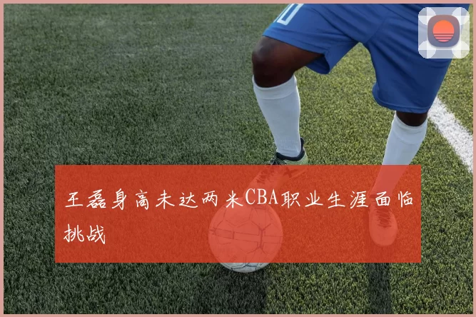 王磊身高未达两米CBA职业生涯面临挑战