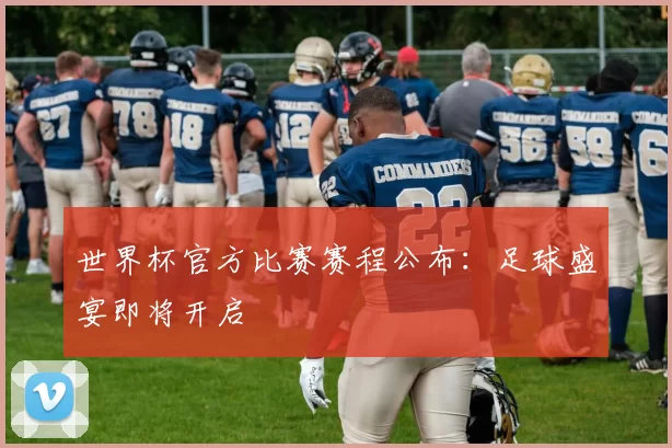 世界杯官方比赛赛程公布：足球盛宴即将开启