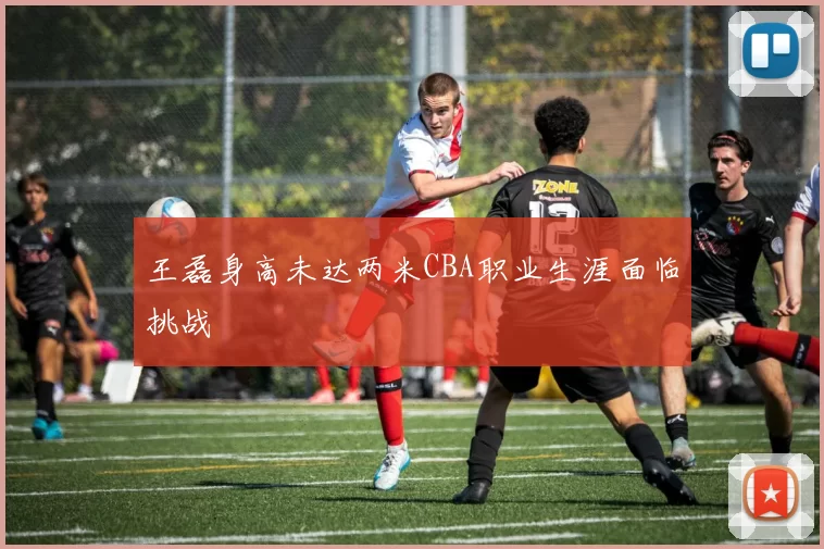 王磊身高未达两米CBA职业生涯面临挑战